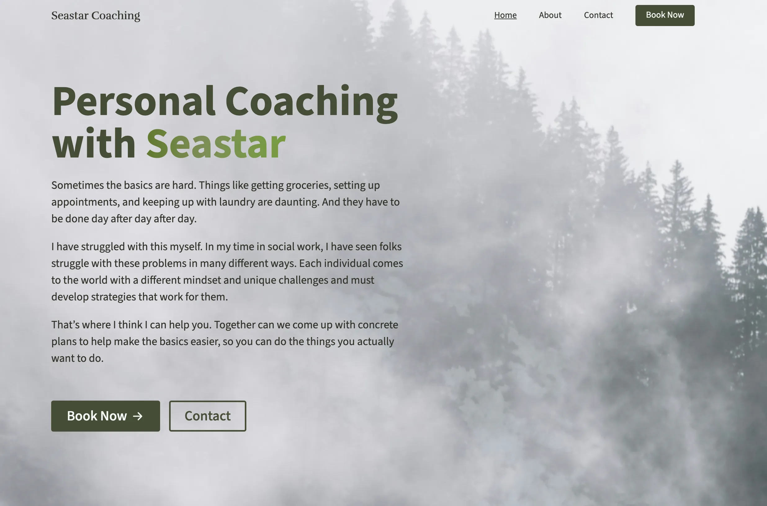 Screenshot of the Seastar website